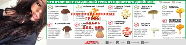 гидра Верхний Тагил