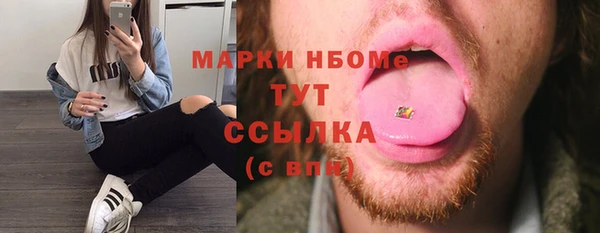 гидра Верхний Тагил