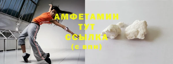 гидра Верхний Тагил