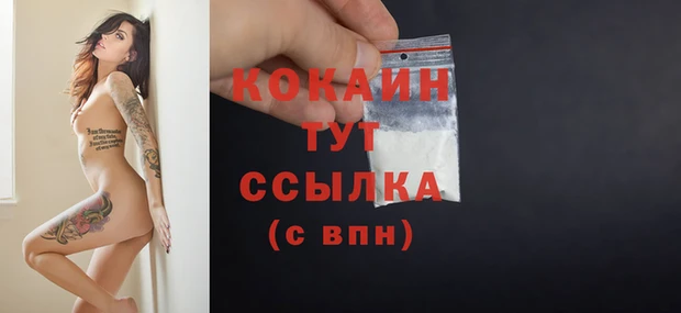 гидра Верхний Тагил